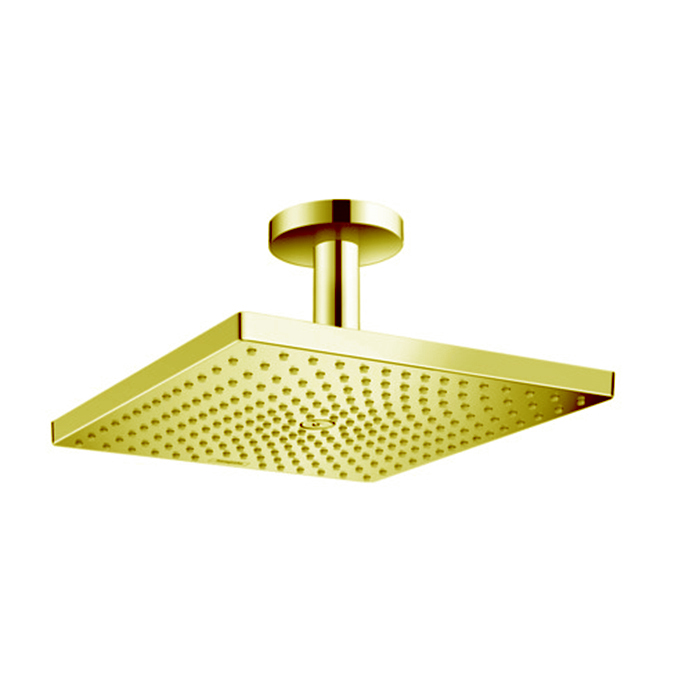Верхний душ Hansgrohe Raindance, 300х300мм, 1 jet, потолочный держателем, цвет: золото