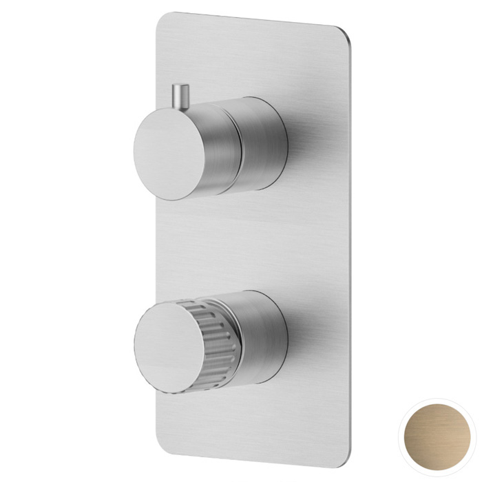 Смеситель для душа Newform Steel Line, встраиваемый, на 2 потока, цвет: pvd brushed pale gold
