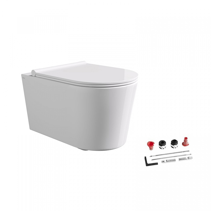 Alice Form Унитаз 50х35см., подвесной, безободковый, с сиденьем и крышкой с микролифтом, с набором для крепления, цвет: белый глянцевый