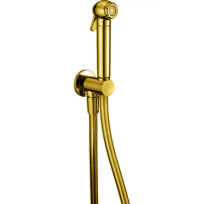 CISAL Shower Гигиенический душ со шлангом 120 см, вывод с держателем, цвет: золото