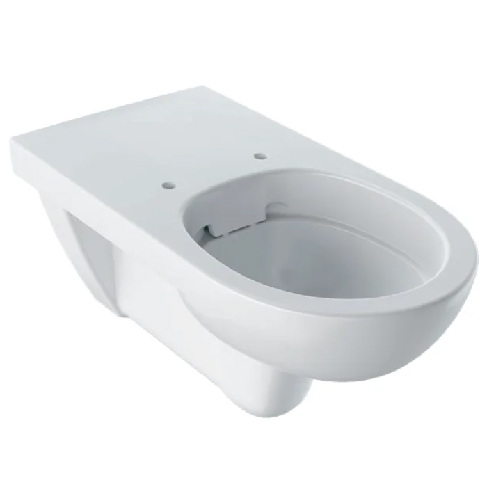 Geberit Selnova Comfort Унитаз 70x35.5см, подвесной, безободковый, удлиненный вылет, для ММГН, цвет: белый глянцевый