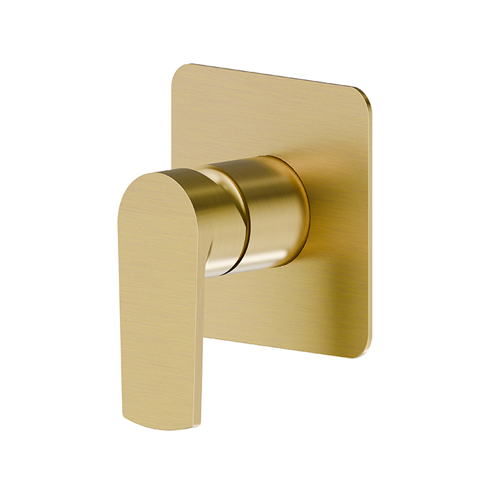 Смеситель для душа Newform Haka, встраиваемый, на 1 поток, цвет: PVD brushed gold